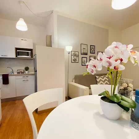 Mazzini 12, Elegant With Free Private Garage 800 M, Air Conditioning, Wi-fi, Just 100 M From The Public *