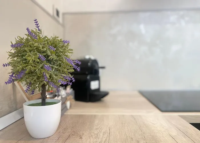 Apartamento Mazzini 12, *